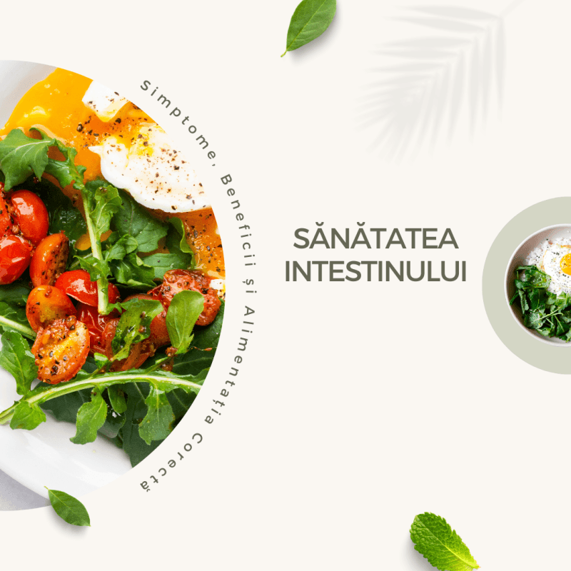 Sănătatea Intestinului
