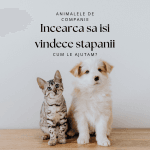 Animalele de companie si terapiile energetice