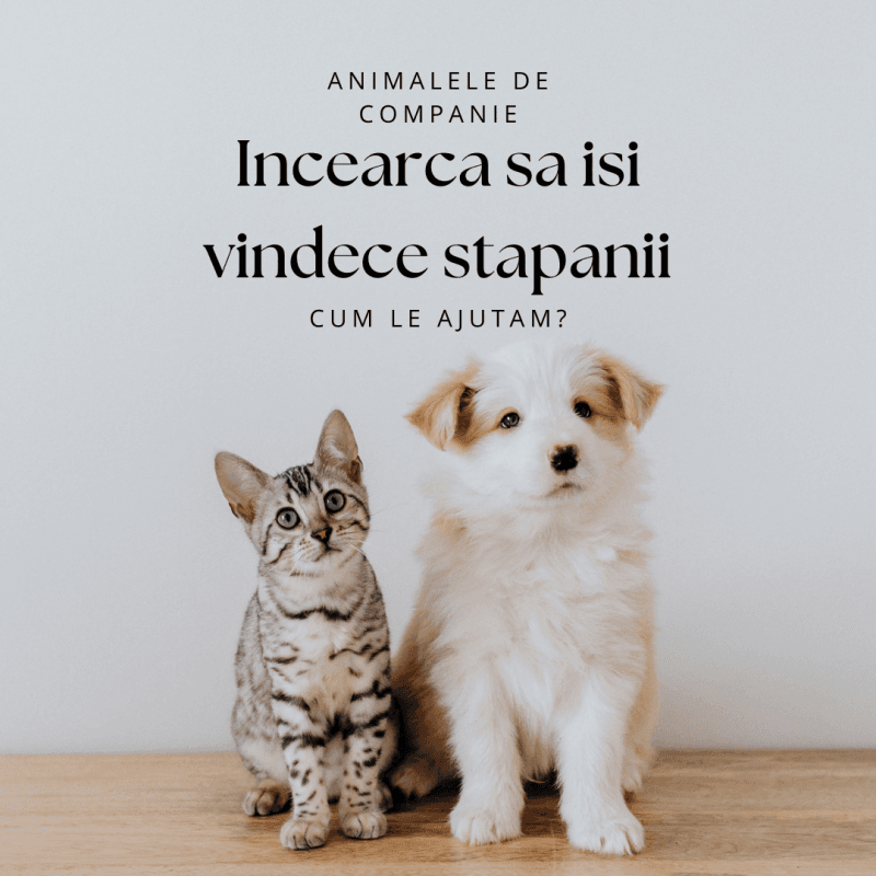 Animalele de companie si terapiile energetice