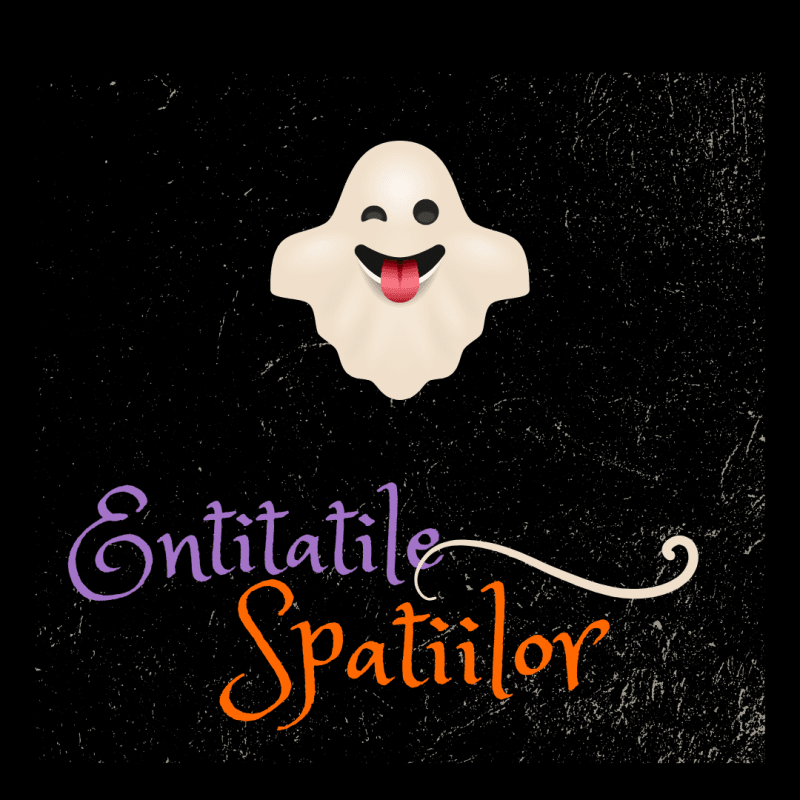 Entitatiile spatiilor