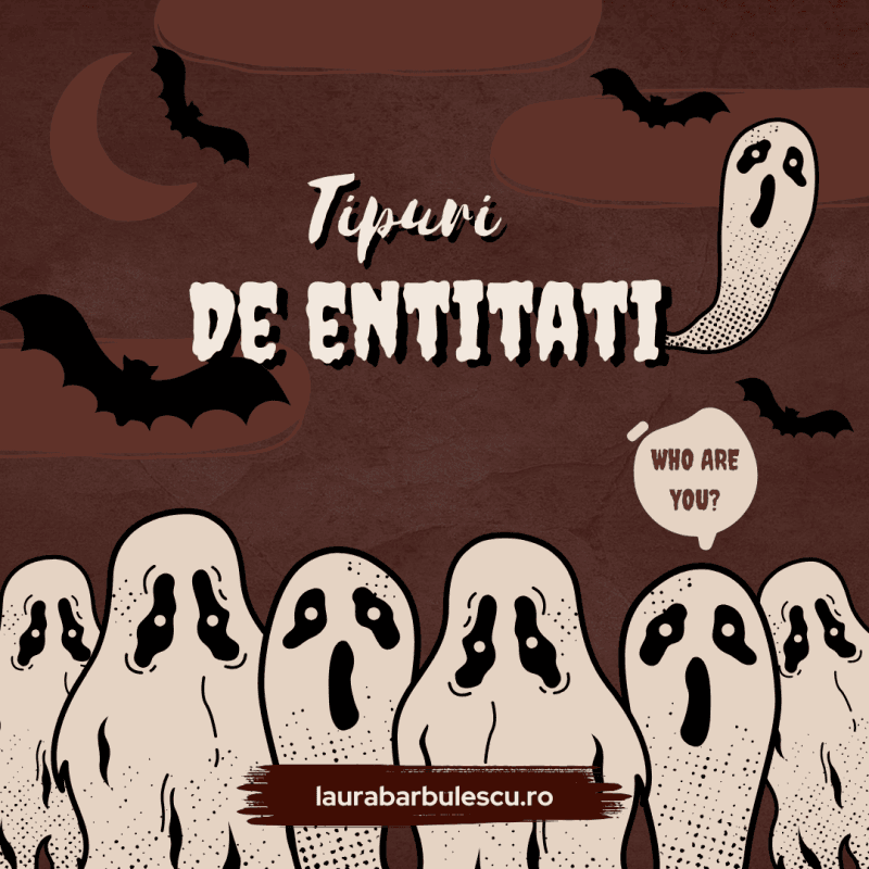 ce sunt entitatile